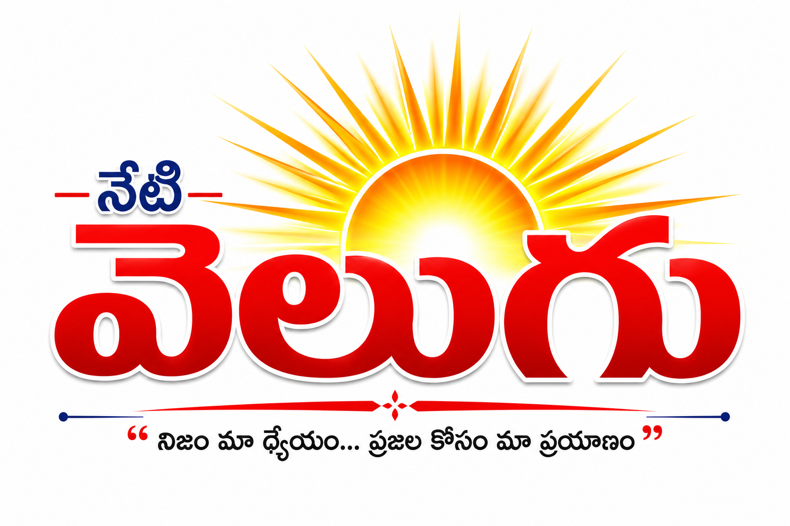 Website Logo